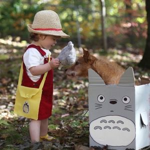 2T Mei Costume Totoro